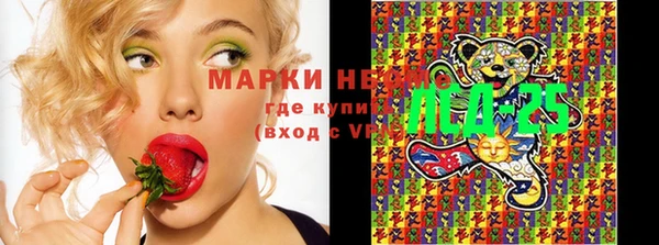 прущий лед Богородицк