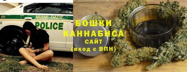 шишки Богданович