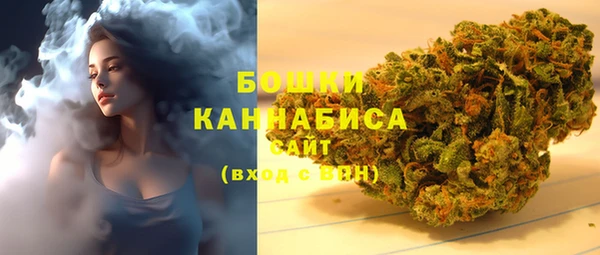 шишки Богданович