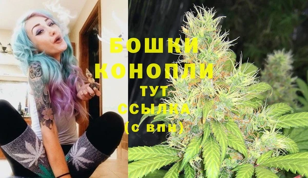 шишки Богданович