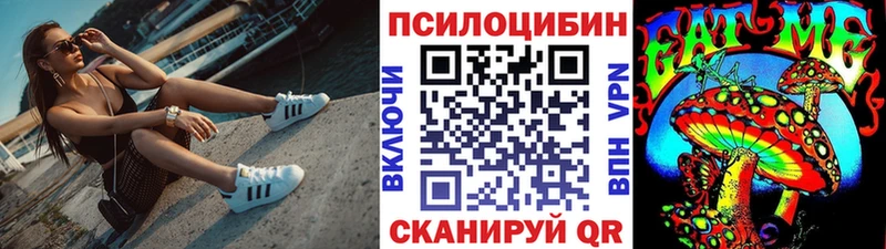 Псилоцибиновые грибы Psilocybe  наркота  Нижнекамск 